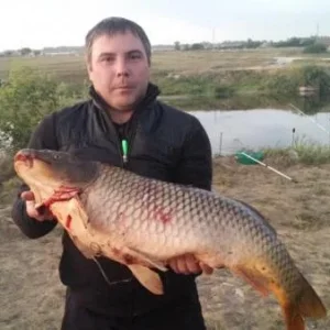 20150717 215144
Карп на 11,9 с секретного водоёма Урала июль 2015