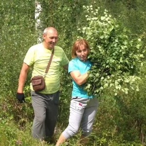 Заготовка веников для баньки с любимой