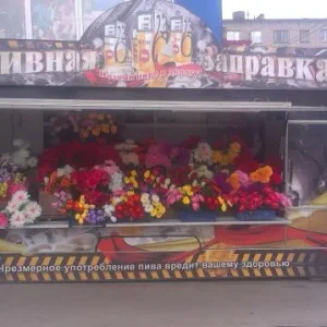 IMAG0015