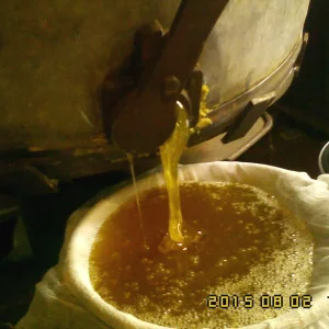 IMG00324