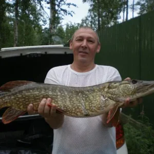 5,5кг