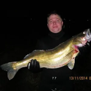 IMG 0249
