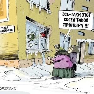 Проныра