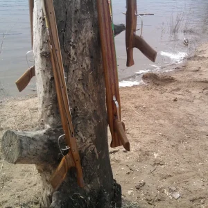 Натюрморт. Дерево на дереве