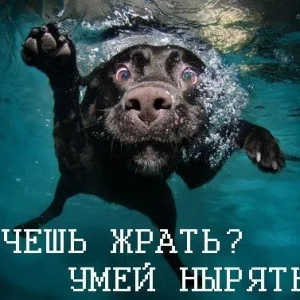 )))