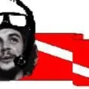 ЧЕЕЕЕЕ