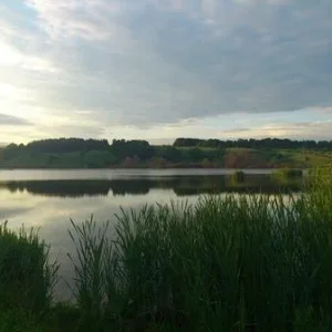 DSC 0650