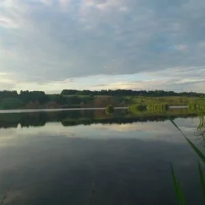 DSC 0651
