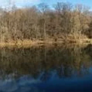 IMG 20151107 143512