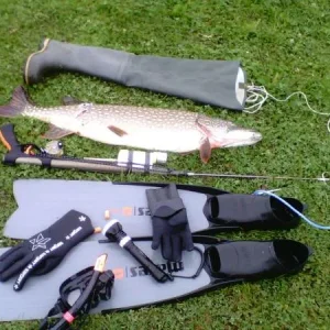7.3kg