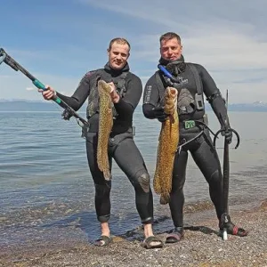 Хубсугульская треска