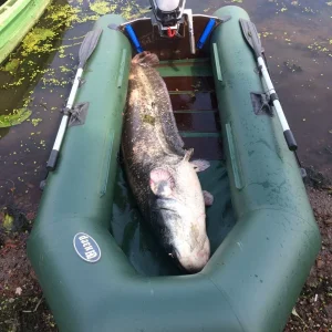 58+