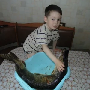 LQjcBi8w0t4