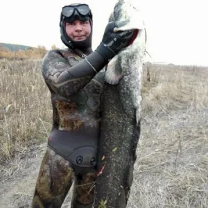 где то в Тамбовской области