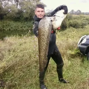 на реке Ворона
