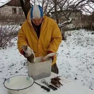 Добыча ноября.
