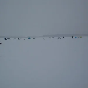 SDC10245