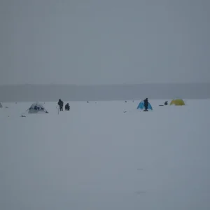 SDC10246
