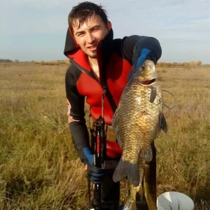 Карась