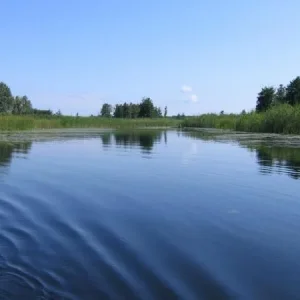 IMG 9379