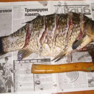карась рубленый