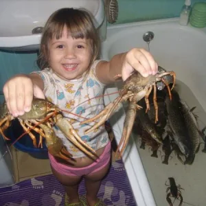 Дочуня
