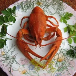 Вкуснятина