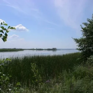 Волга