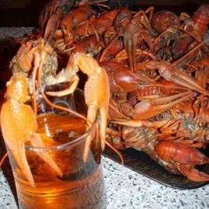 Раки
