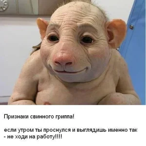 Болей дома
