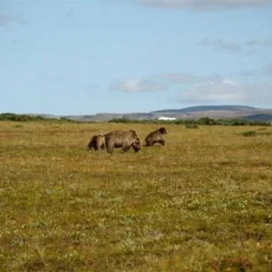 DSC8126