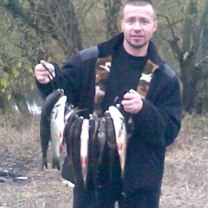голавлики