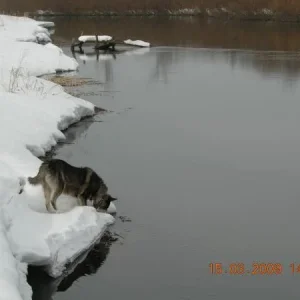 DSCN5471