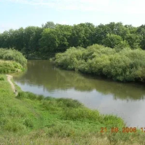 DSCN2349