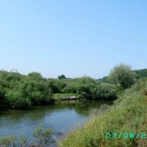 SANY0158