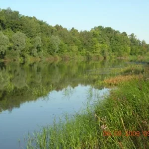 DSCN5784