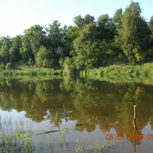 DSCN5783