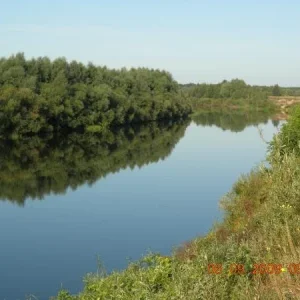 DSCN5782