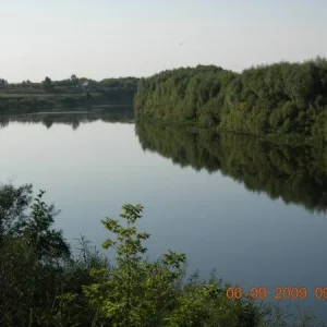 DSCN5781