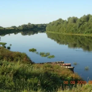 DSCN5776