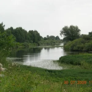 DSCN5607