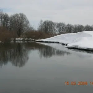 DSCN5470