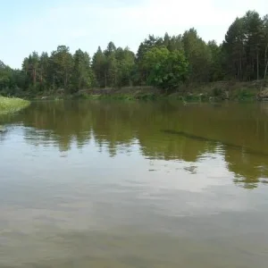 DSCN4989