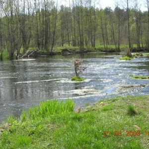 DSCN1291