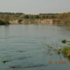 DSCN0136