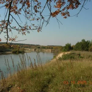 DSCN0122