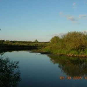 DSCN0060