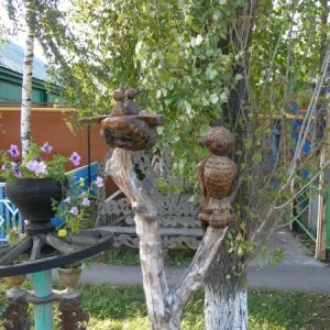 Изображение 098