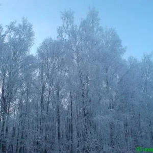 DSC00265