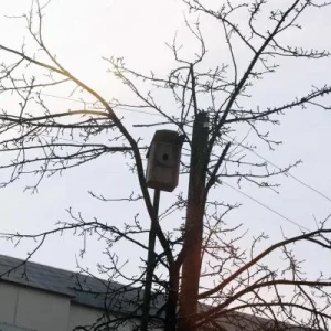 пока не занято! ))